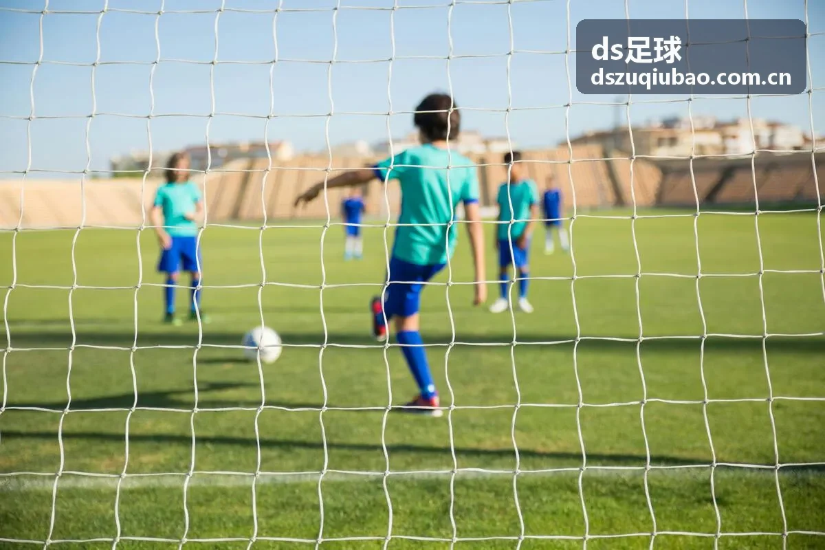 ds足球场地尺寸与区域划分标准图解